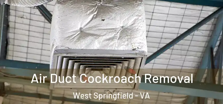 Air Duct Cockroach Removal West Springfield - VA