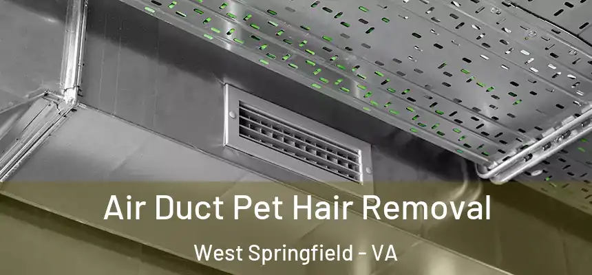 Air Duct Pet Hair Removal West Springfield - VA