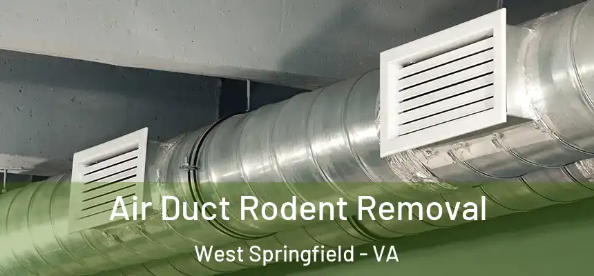  Air Duct Rodent Removal West Springfield - VA
