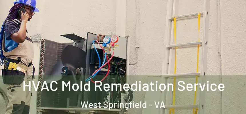  HVAC Mold Remediation Service West Springfield - VA