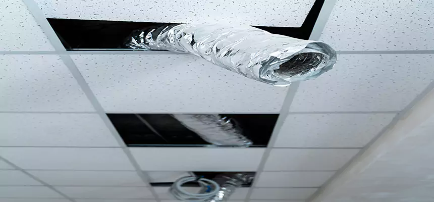 Our Air Duct Pet Hair Removal Services in West Springfield, VA