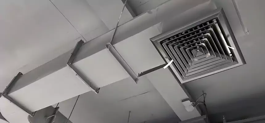 Restorative Allergy Relief Vent Cleaning – Coil, Blower & Housing Detail in West Springfield