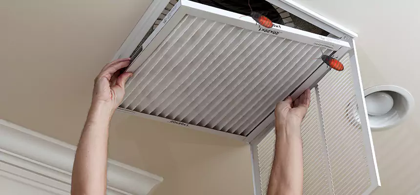 Our Insect Removal from Air Ducts Services in West Springfield, VA