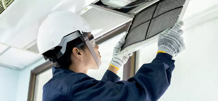 Our Mold & Mildew Removal from Air Ducts Services in West Springfield, VA