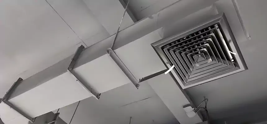 Our Pest Removal From Ducts Services in West Springfield, VA