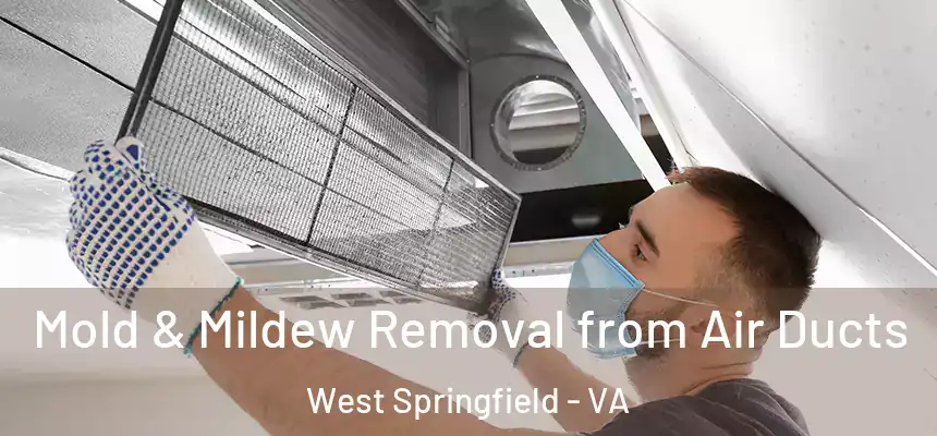  Mold & Mildew Removal from Air Ducts West Springfield - VA