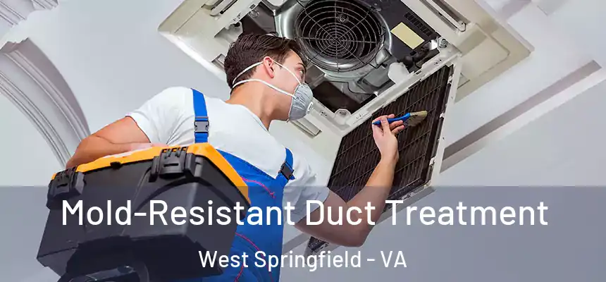  Mold-Resistant Duct Treatment West Springfield - VA