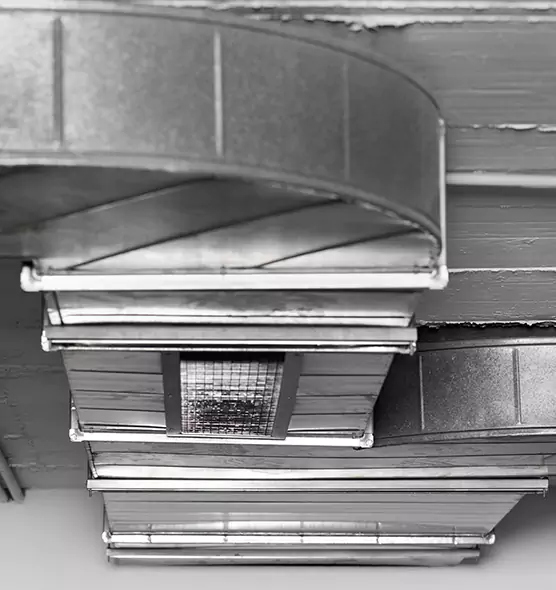 Professional Air Duct Pet Hair Removal in West Springfield, VA