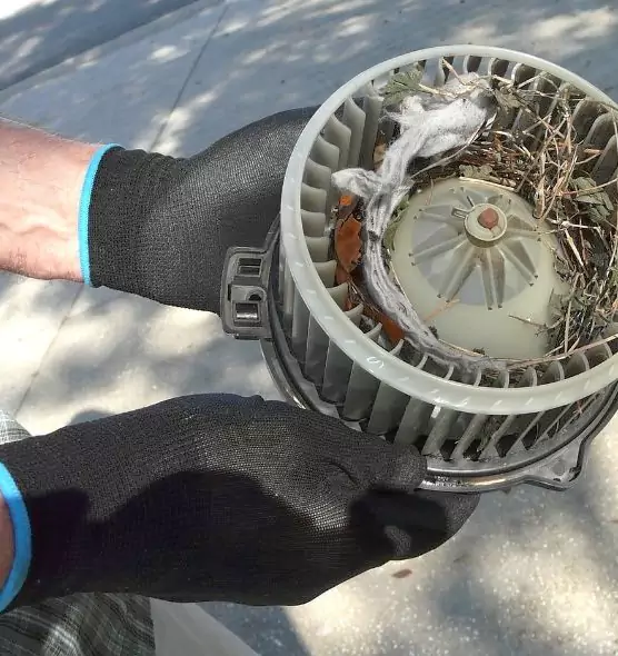 About Air Duct Rat Removal in West Springfield, VA