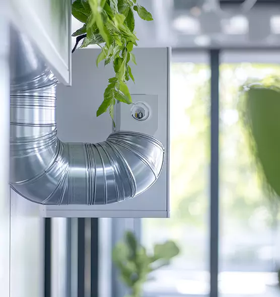 Professional Eco-Friendly Duct Cleaning Services in West Springfield, VA