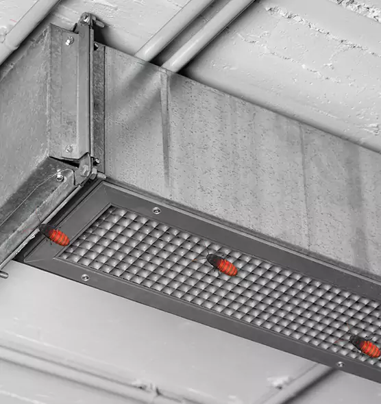 Affordable Insect Removal from Air Ducts in West Springfield, VA