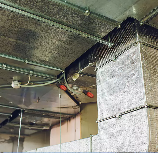 Why Homeowners & Businesses Trust Us in West Springfield, VA?