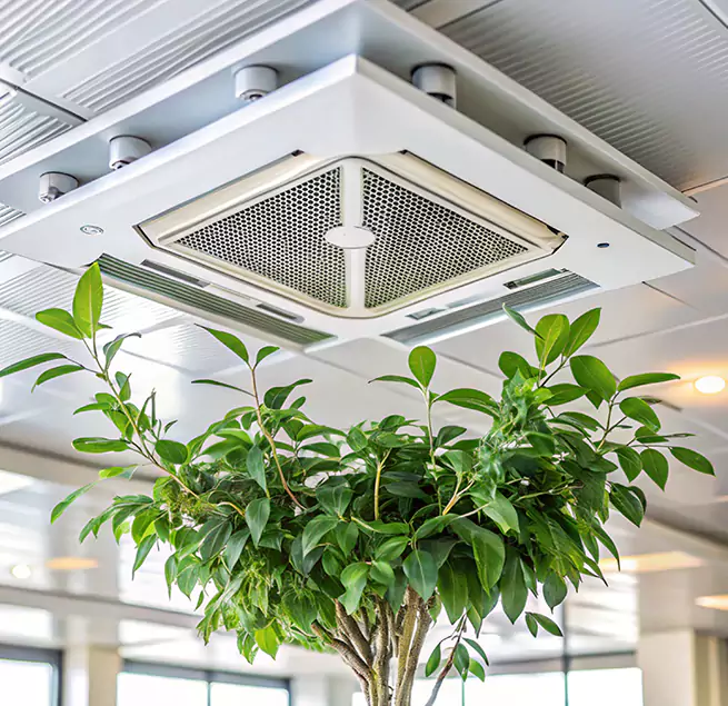 Why Homeowners & Businesses Trust Us in West Springfield, VA