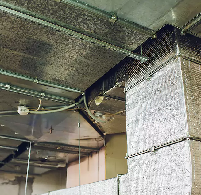 Why Homeowners & Businesses Trust Us in West Springfield, VA?